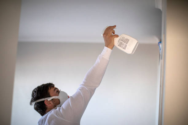 Best Residential Mold Removal  in Daniels, WV
