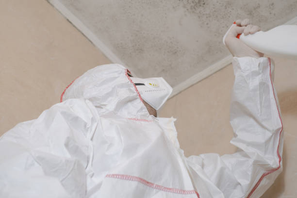 Best Emergency Mold Removal  in Daniels, WV